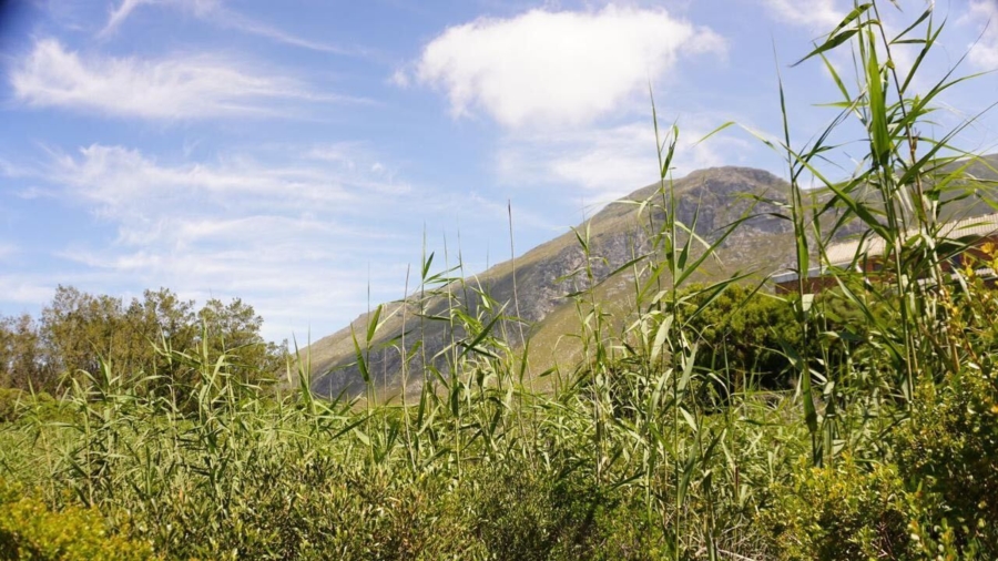 0 Bedroom Property for Sale in Bettys Bay Western Cape